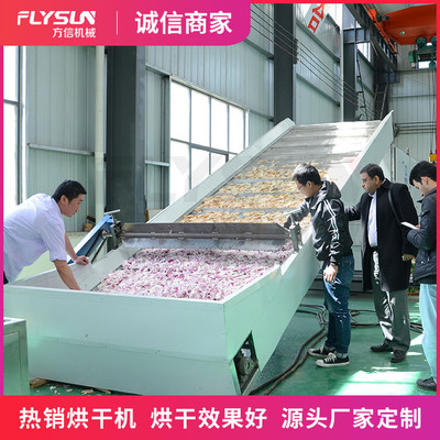 果蔬干燥機 果蔬網帶烘干機 果蔬烘干機 水果蔬菜干脆片烘干機