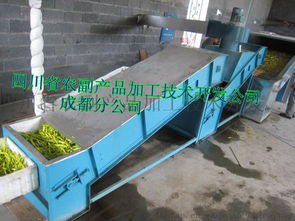 高效農(nóng)業(yè)加工利器 黃花菜蒸煮機與果蔬烘干機的應用