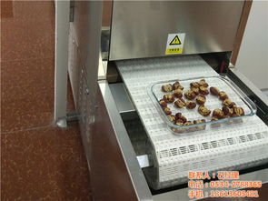 千弘微波STJ型蔬菜烘干脫水機 優(yōu)質商家推薦的果蔬烘干解決方案